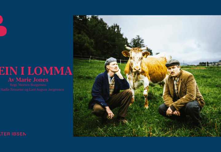 Teater Ibsen: Stein i Lomma