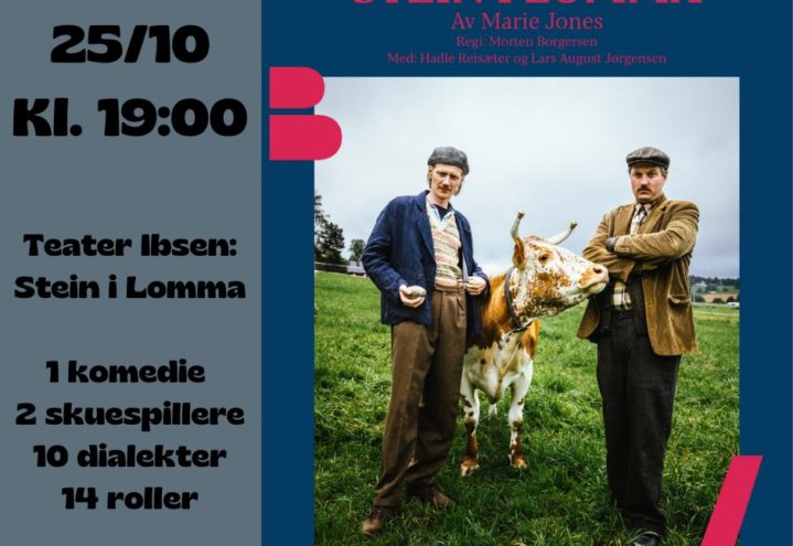 Teater Ibsen: Stein i Lomma